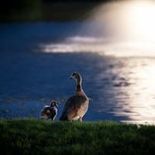 Lesley Berner's photo