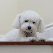 Lisa Kember's photo