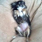 Lori Farnham's photo