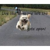 Pam Henninger's photo