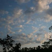 Jean Jones's photo
