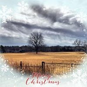 Marcy Clark's photo