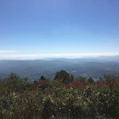 Robert Neal's photo