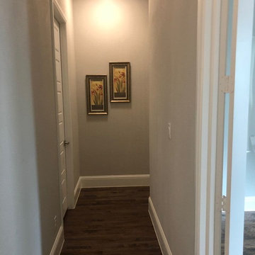 Oil Paintings and Frames