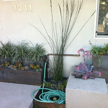 Landscape Ideas