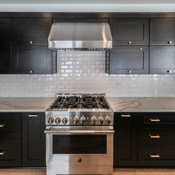 Modified Parker IV | Naperville, IL