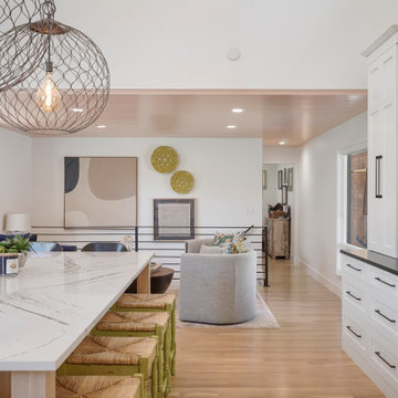 Carter Court - Transitional Eclectic Kitchen