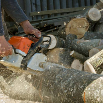 San Diego Tree Removal Services