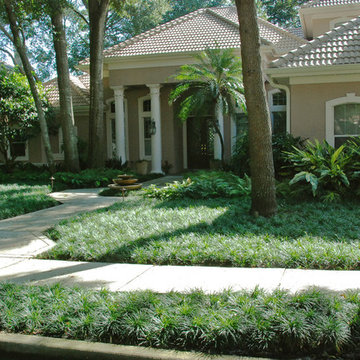 Zero Lawn Shady Garden