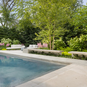 Forest Hill Modern Backyard