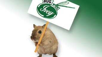 Rodent Control and Prevention