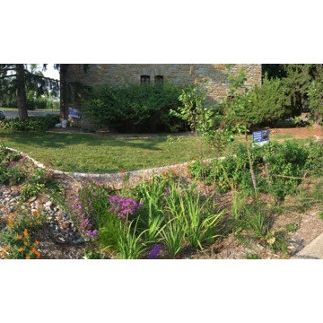 Green Infrastructure Project
