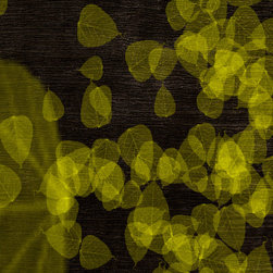 ModernRugs.Com - Products