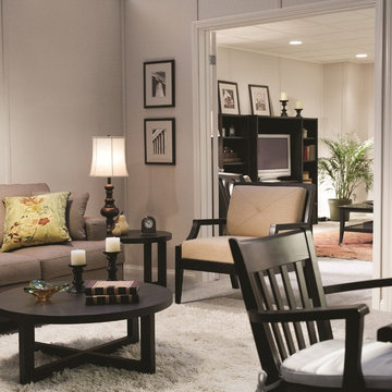 Basement Finishing Ideas