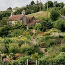 Garden Inspiration