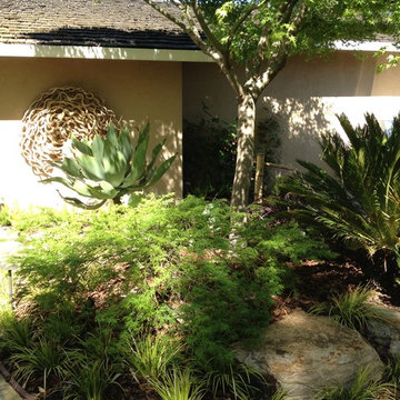 Asain Garden