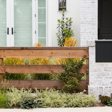 Backyard Landscape/Fence