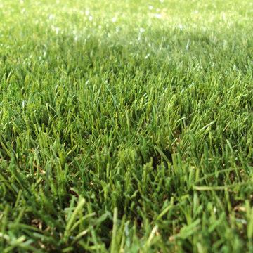 National Artificial Grass and Astro Turf - San Marcos