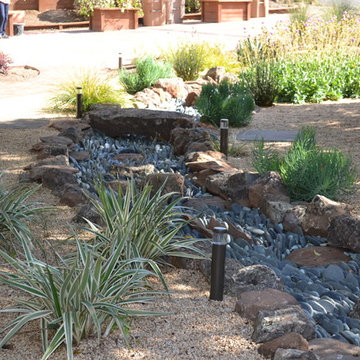 Drought tolerant landscape