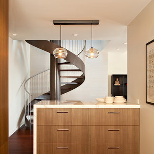 Imagen de cocina minimalista con armarios con paneles lisos y puertas de armario de madera oscura