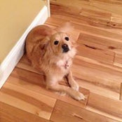 Carmen Long's photo