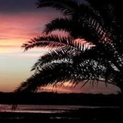 Joanne Triolo's photo