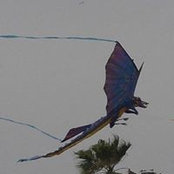 Ruth Hickerson's photo