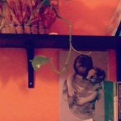 Photo de Danila Cotroneo