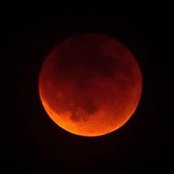 Robert Rasmussen's photo