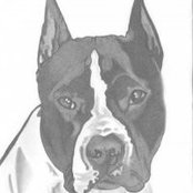 Nicole Nesbit's photo