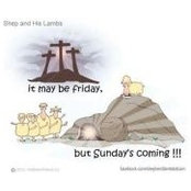 Missy Hicks's photo