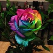 Jeanne Tumanjan's photo