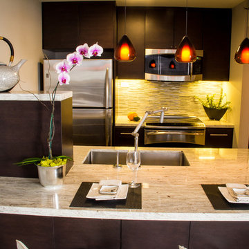 Modern Bachelor Condo