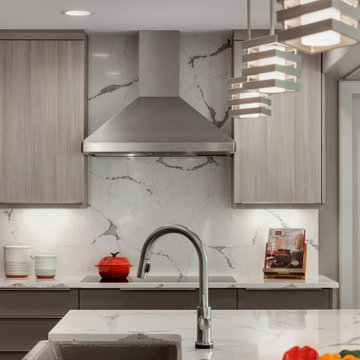 Contemporary Remodel + Addition