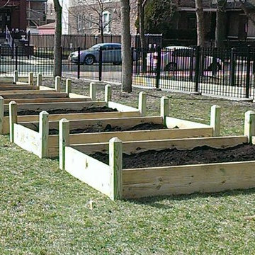 Raised Bed Gardens - Chicago schools