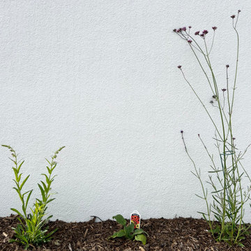 Baca Pollinator Garden