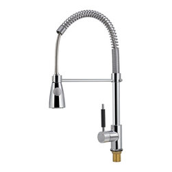 Valencia Single Handle Chrome Finish Kitchen Sink Faucet - Kitchen Faucets