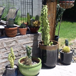 Planters - Products