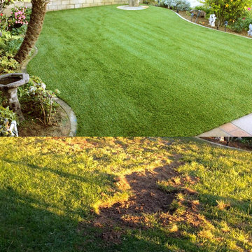 Front Yard Landscaping