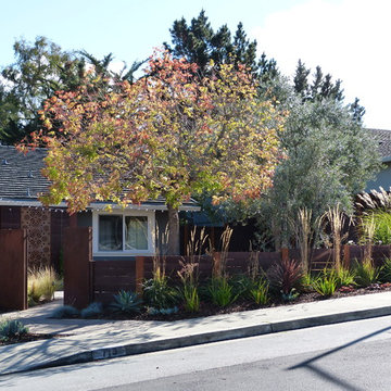 Contemporary Front Yard