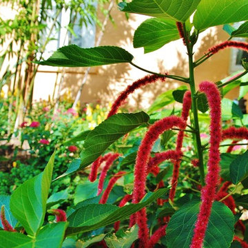 Tropical Landscape Design