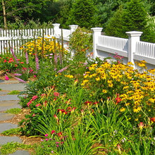 Garden and Landscape