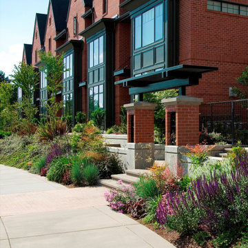 Entry to "Mews" from public walkway - pergola, piers, and perennials