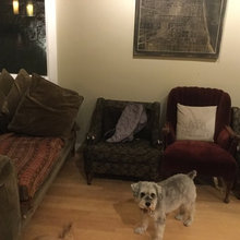 furniture