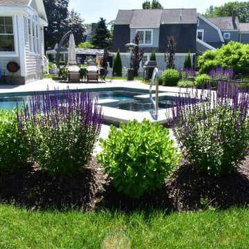 Pool Renovation