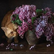 Photo de Лариса Лымарь