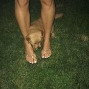 Renee Stregger Perkowitsch's photo