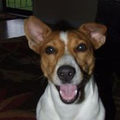 Camille Crowley's photo