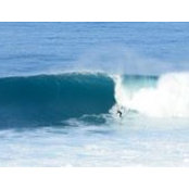 Matty MArtins foto