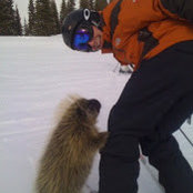 Dylan Plofker's photo